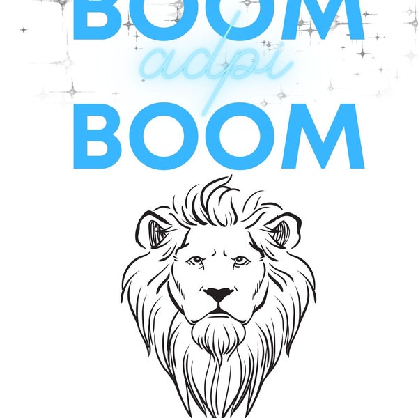 Boom Boom ADPI poster