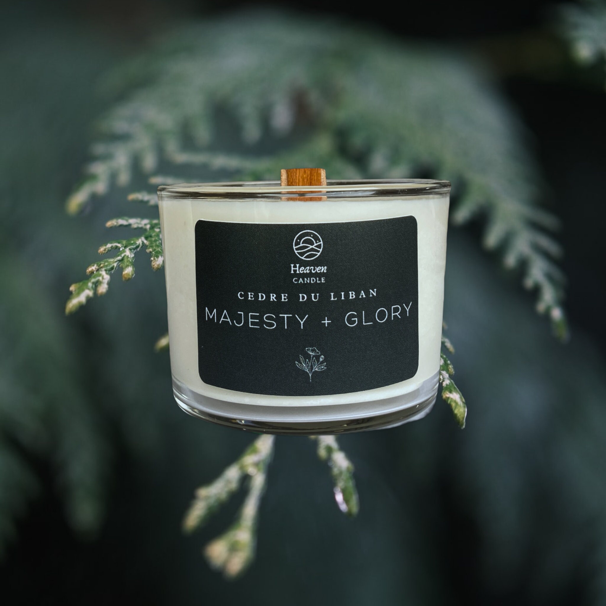 Bougie Parfumée Cèdre Du Liban | Senteur Boisée Épicée Cire Végétale de Soja Mèche en Bois Crépitant