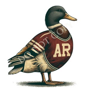 Puede incluir: Ilustración detallada de un pato con una camiseta granate con las letras "AR". El pato tiene una cabeza verde oscuro, un pico amarillo y plumas detalladas en tonos marrones, beige y negros. La camiseta tiene rayas y ribetes blancos.