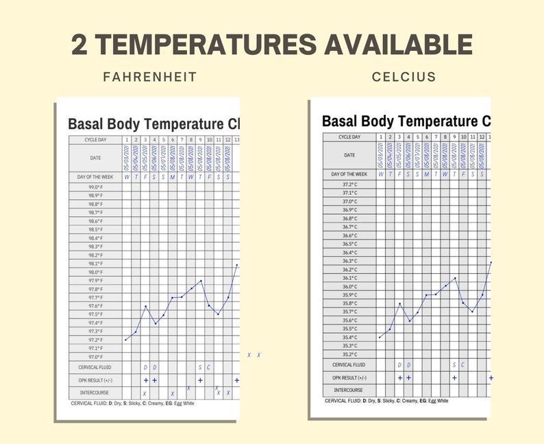 Basal Body Temperature Chart. Ovulation Tracker. BBT. Fertility Tracking. Printable Etsy