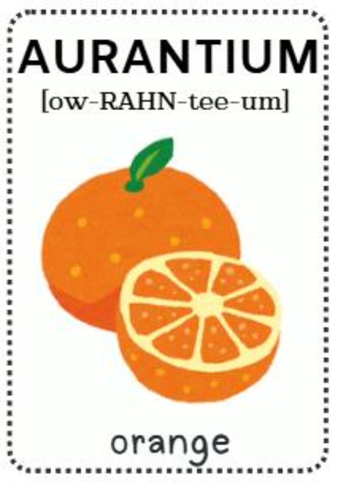 Latin Fruit Flashcards: English to Latin Vocabulary (printable PDF) - Etsy