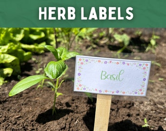 May include: A close-up of a basil plant in a garden with a white label that says "Basil" in cursive writing. The label is attached to a wooden stick and has a floral border.