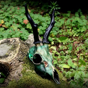 Cernunnos Rehschädel - der Gehörnte - perfektes Geschenk, nicht nur für Hexen, Wicca, Pagan!