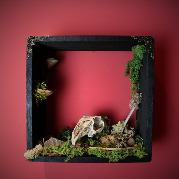 Pagan wall decoration diorama European hare skull - perfect gift, not only for witches, Wicca and Pagan!