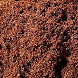 May include: Close-up of a pile of dark brown, finely textured material, possibly soil or mulch. The image shows a dense, uneven surface with varying shades of brown and small particles.