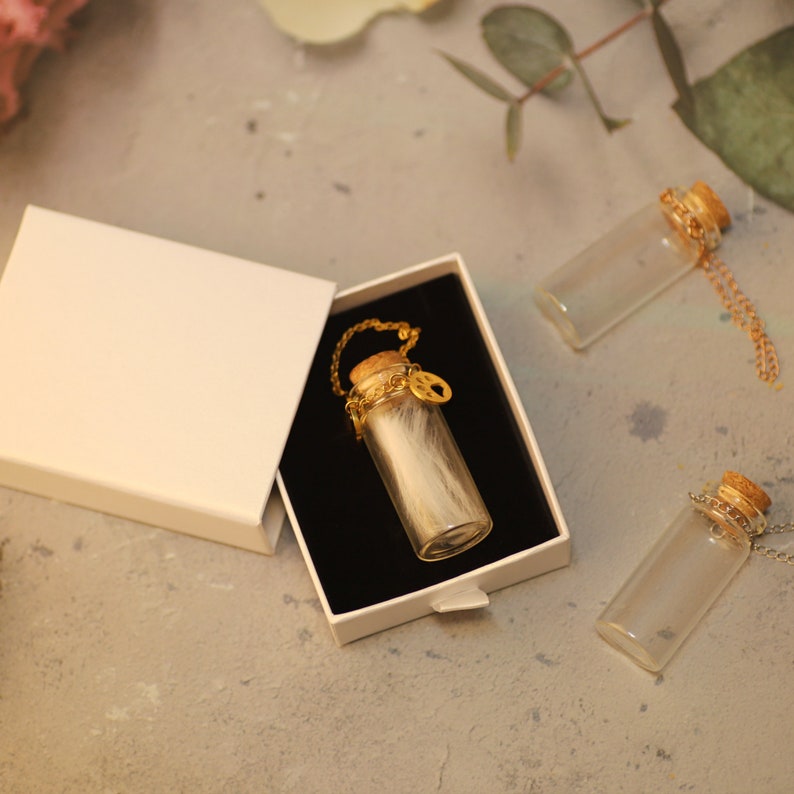 Pet Memorial Gift Box Keepsake Vial for Ashes for Hair Pet Etsy