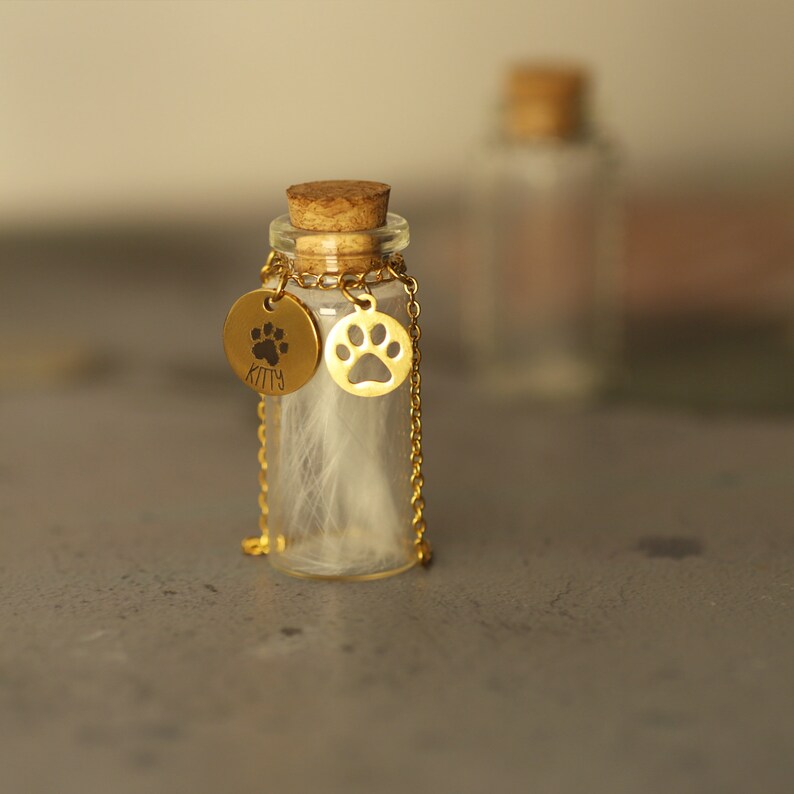 Pet Memorial Gift Box Keepsake Vial for Ashes for Hair Pet Etsy