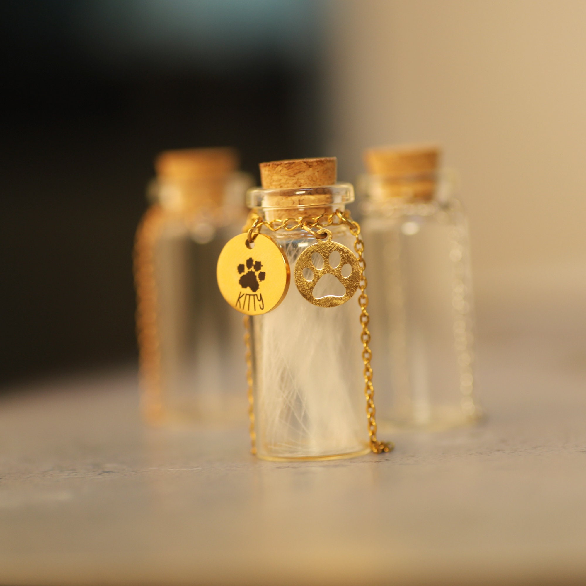 Pet Memorial Gift Box Keepsake Vial for Ashes for Hair Pet Etsy