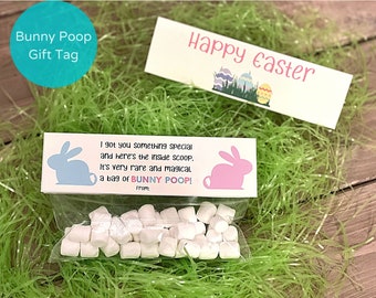 Bunny Poop Printable Bag Topper/ Easter Printable Bag Topper/ Bunny Poop Ziploc Gift Tag/ Easter Ziploc Tag