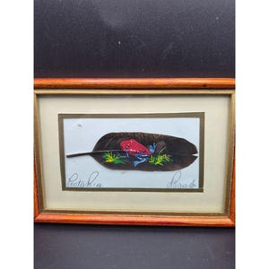 Könnte beinhalten: Gerahmtes Kunstwerk mit einem rot-blauen Frosch, der auf einem dunklen Blatt mit grünen Grasakzenten gemalt ist. Das Kunstwerk ist vor einem weißen Hintergrund in einem Holzrahmen gerahmt. Das Wort "Costa Rica" ist auf dem Kunstwerk geschrieben.