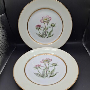 Antique China Occupied Japan - Etsy