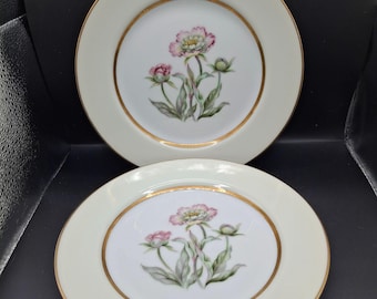 Vintage Mikado Japan China Harmony Set of 2 Salad/Desert Plates  7 1/2 inch