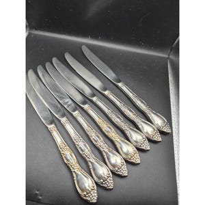 Juego de 7 elegantes mangos huecos de plata chapada con diseño floral de Oneida Huntington, estilo vintage.