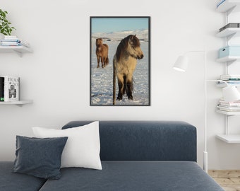 Icelandic Horse Poster , Horse Wall Art Print from Iceland, Animal Poster
