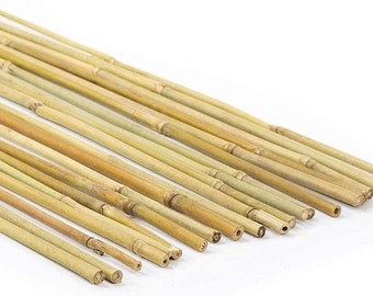 50 Bamboo stakes Plant stakes Bamboo canes Support length 50-100-150-200-250 CM