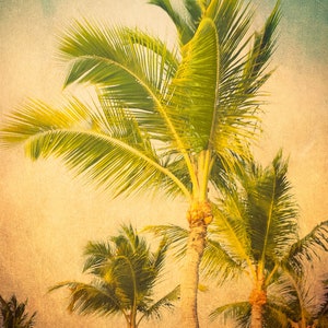 Tropical PALM TREES VINTAGE Grunge Texture  Nature Photography, Instant Digital Download, Wall Art, Print, Island, Printable, Old, Original