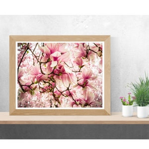 SPRING CHERRY BLOSSOMS on Tree - Instant Digital Download Photograph - Landscape Nature - Colorful Floral Wall Art - Pink Flowers Springtime