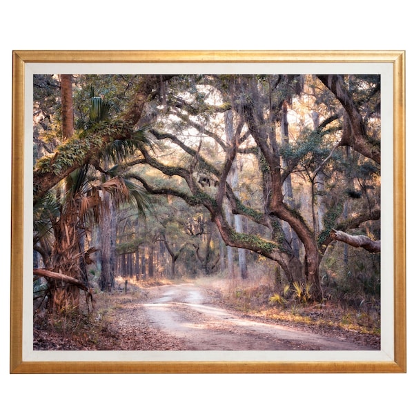 SPANISH MOSS Covered FOREST Path - Instant Digital Download Photograph - Landscape Nature -  Printable Wall Art - Low Country South Carolina