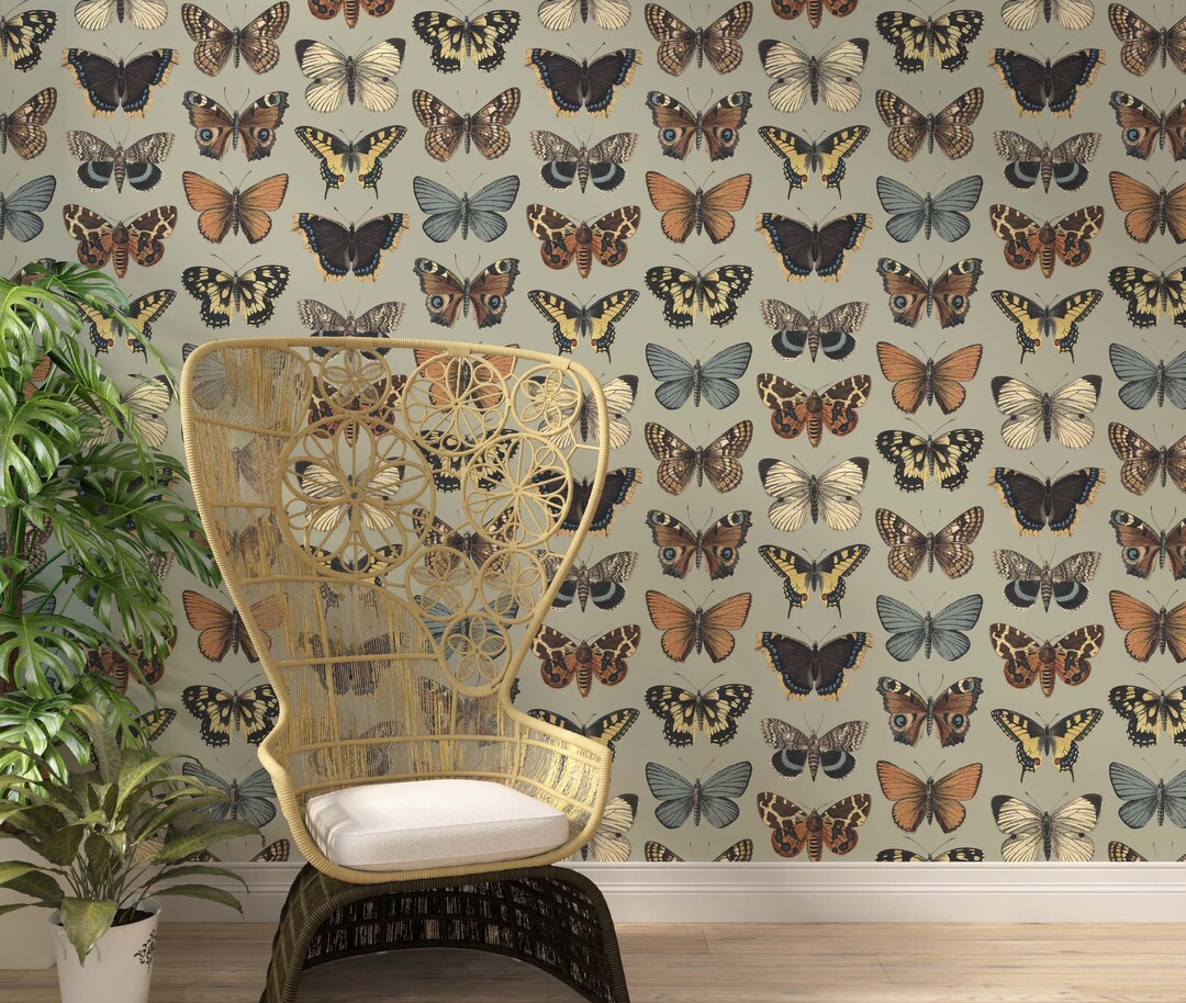 Vintage Butterflies & Moths Wallpaper: Peel and Stick Mural - Etsy