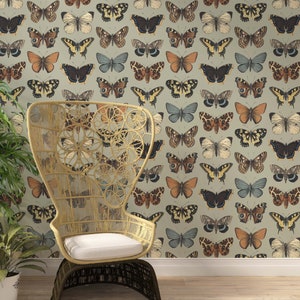 Butterflies & Moths Vintage Wallpaper  / Wallpaper Peel and stick / wallpaper mural /removable wallpaper