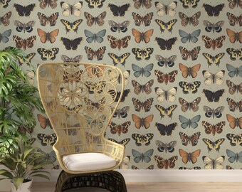 Vintage Butterflies & Moths Wallpaper: Peel and Stick Mural