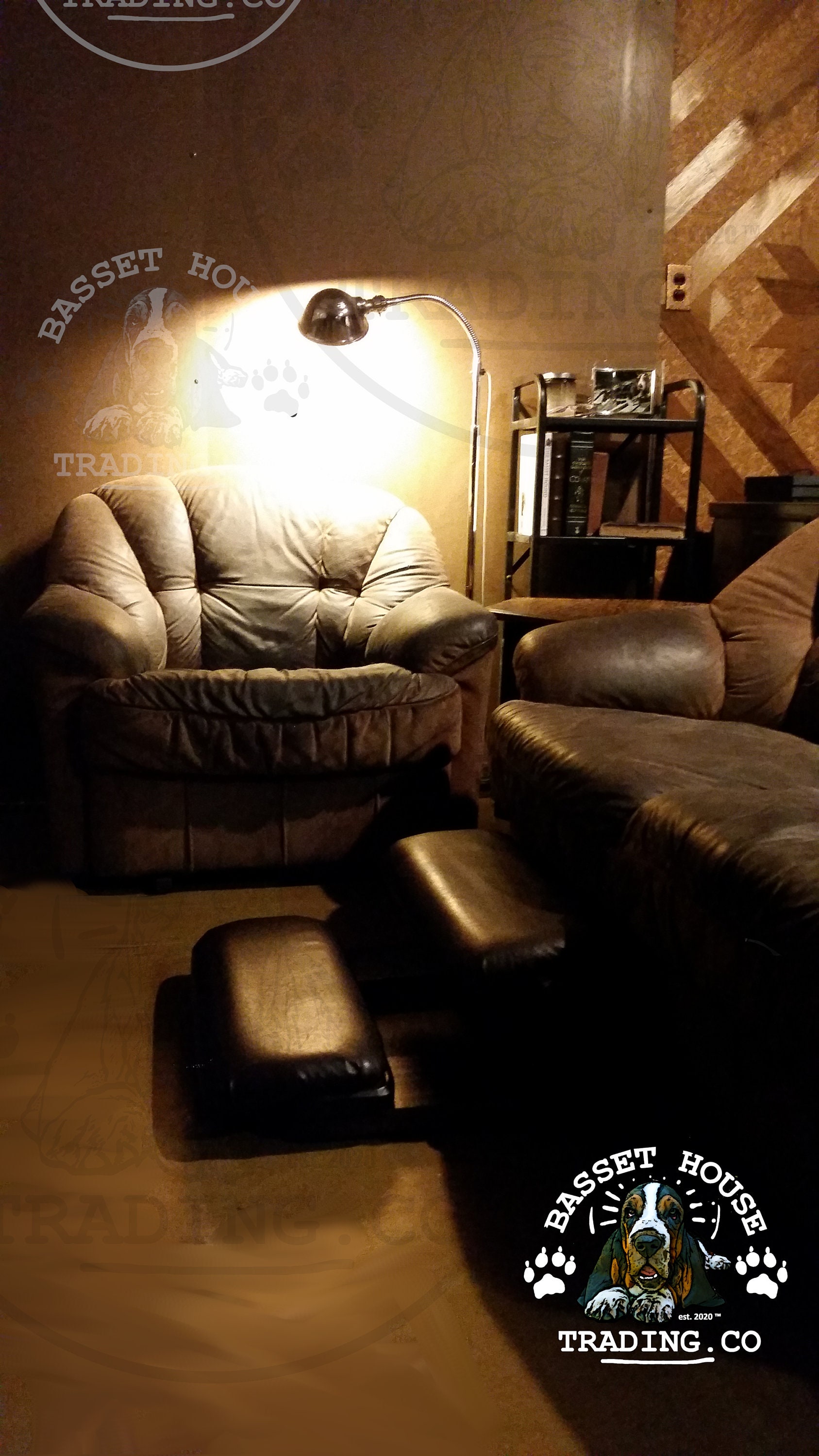 Dog Stair Dog Step Pet Steps for Basset Hounds Gaming Foot Etsy