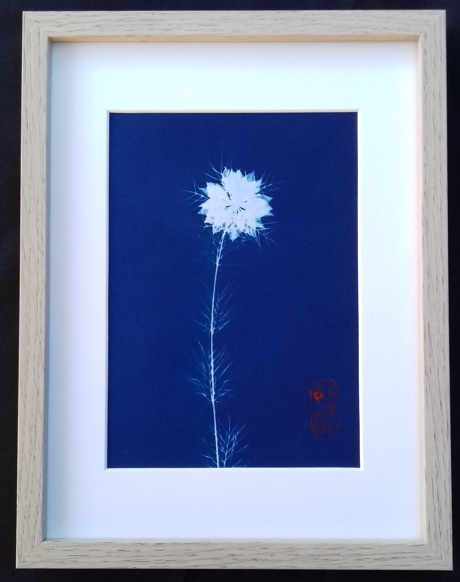 Cyanotype de Nigelle Damas
