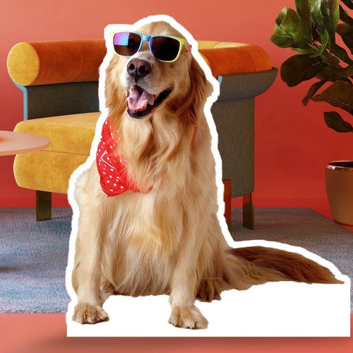 Pet Cutouts Custom Cutouts Pet Dog Life Size Cutouts Cat Etsy