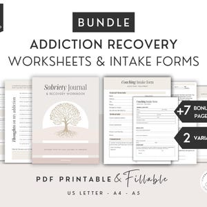 Intagningsblanketter och arbetsbok för återhämtning från missbruk, professionella sessionsanteckningar, coachningsavtal, arbetsblad för substansbehandling, SUD-terapi (AUD)