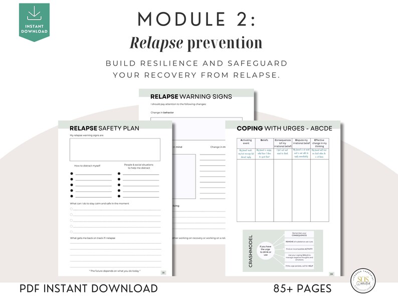 Addiction Recovery Workbook: 85 Worksheets and Trackers, Coping Skills, Relapse Prevention & Sobriety Journal PDF image 13