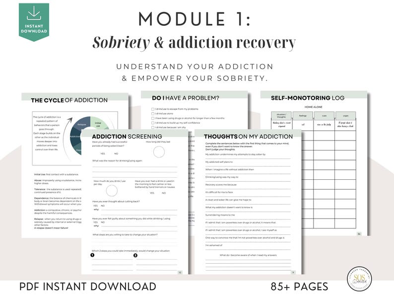 Addiction Recovery Workbook: 85 Worksheets and Trackers, Coping Skills, Relapse Prevention & Sobriety Journal PDF image 12