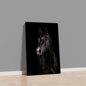 black horse painting, horse canvas print, horse portrait canvas print, black horse wall decor, animal canvas print image 2
