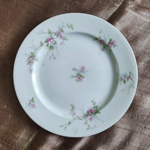 Limoges Salad Plates - CH Field Haviland circa 1900
