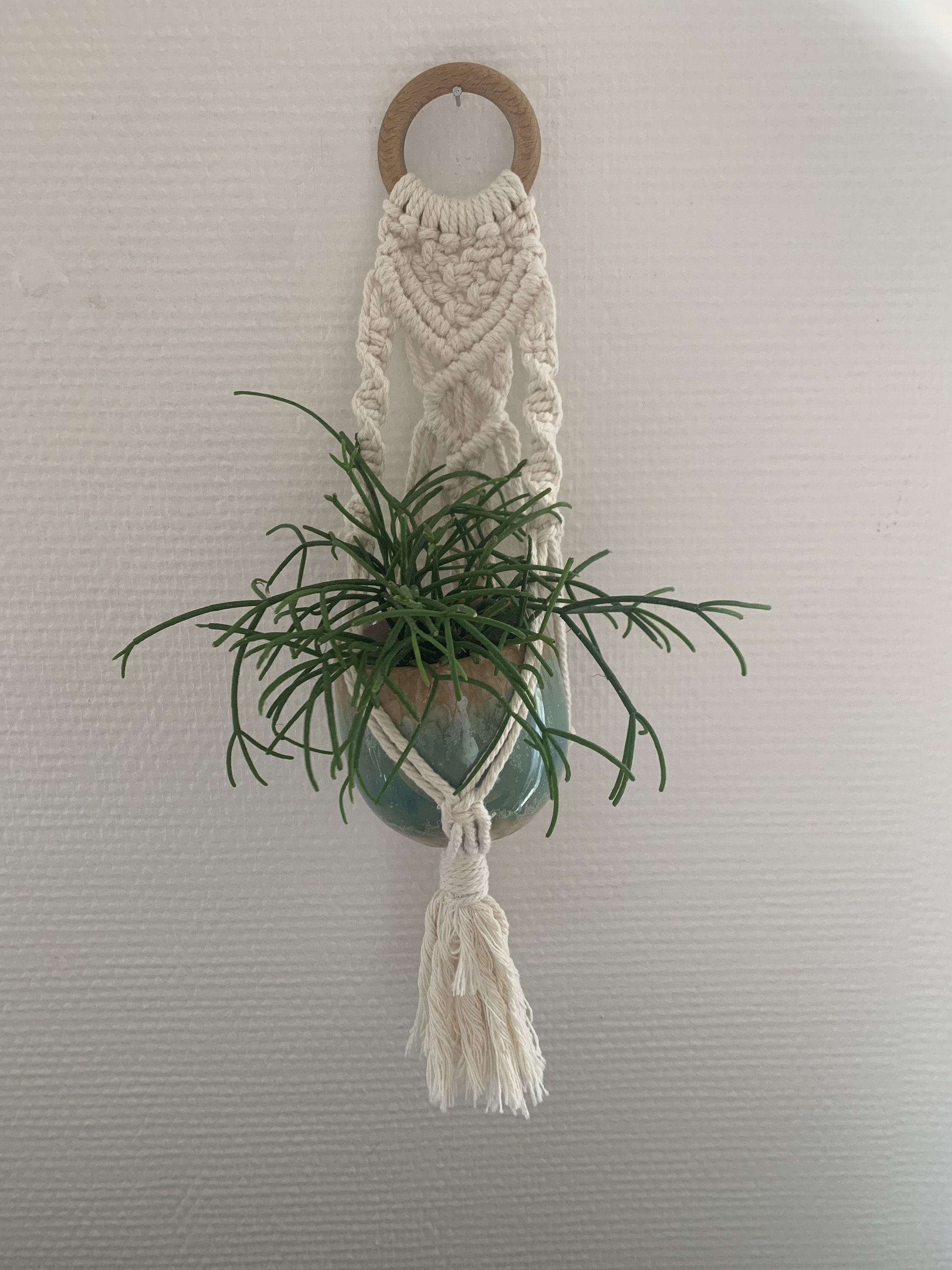Suspension Macramé Plante