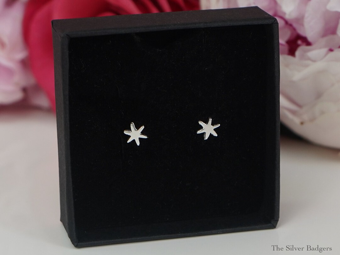 Star Sterling Silver Stud Earrings