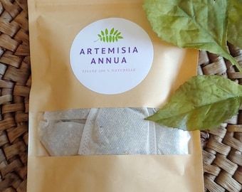 Artemisia Annua bio (Teebeutel) - süßer Wermut