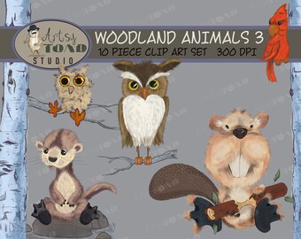 May include: A set of 10 woodland animal clip art images, featuring a red cardinal, a brown owl, a brown and white owl, a brown otter, and a brown beaver. The images are in a cartoon style and are perfect for use in digital scrapbooking, card making, and other craft projects.  Artsy Toad Studio 300 DPI.