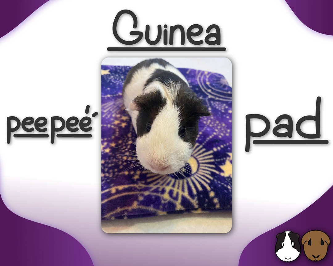 Custom Guinea Pig Pee Pads and Ramp Pads Antipill Fleece & Absorbent