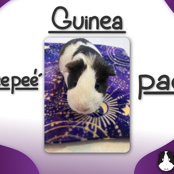 Custom Guinea Pig Pee Pads and Ramp Pads : Anti-Pill Fleece & Absorbent Layer (Free Gift)