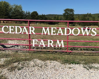 Metal Letters / 10 Inch Letters / Steel House Address / Steel Letters / Individual Decor Letters / Metal Farmhouse Decor / Metal Barn Decor