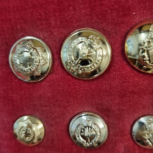 May include: Several gold-coloured metal buttons with detailed embossed designs. The buttons feature crests, emblems, and floral patterns. The buttons are displayed on a red velvet surface.
