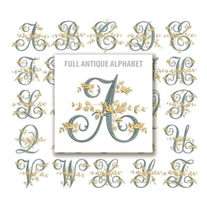 Può includere: Un alfabeto antico completo in stile decorativo. Ogni lettera è di colore verde acqua con accenti floreali dorati. Le lettere sono disposte attorno a un'immagine centrale che recita "FULL ANTIQUE ALPHABET".