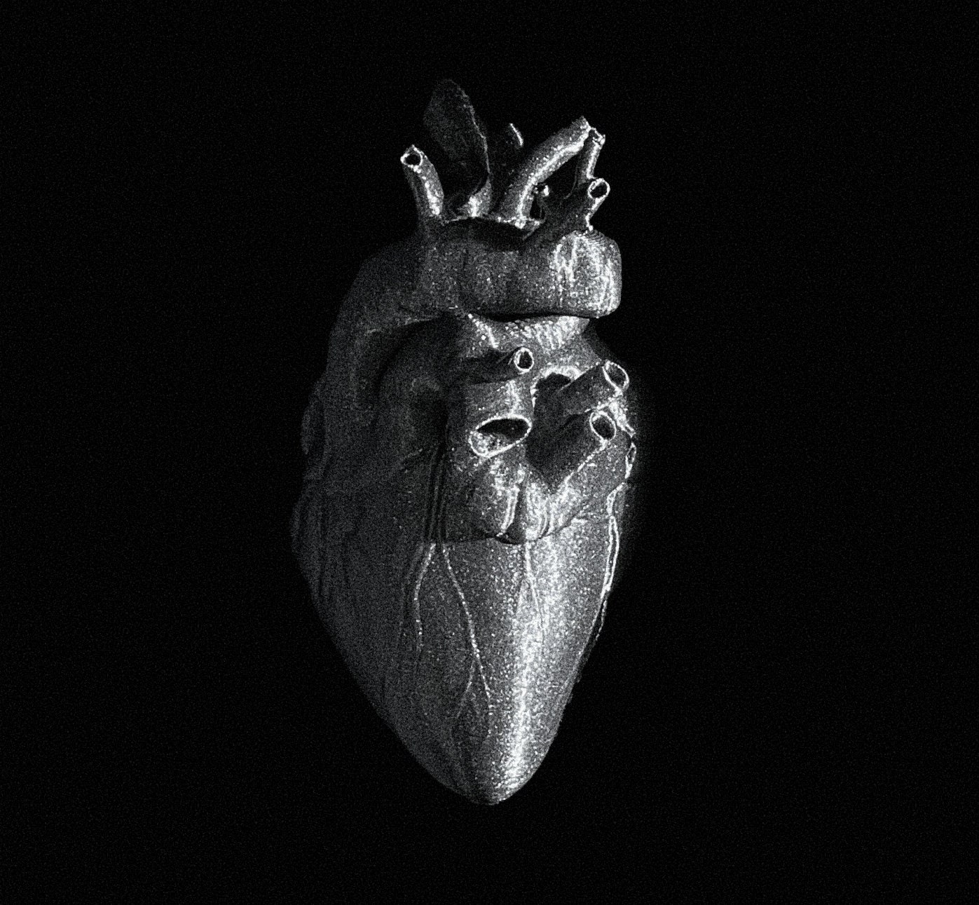 Coeur Anatomique 3D & Coffret Xl/Creepy Chic Monochrome Cabinet de Curiosités Art Mural Cadeau Uniqu