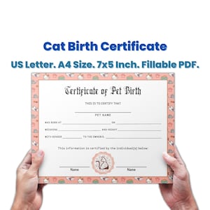 Gepersonaliseerde huisdier kat geboorteakte sjabloon bewerkbaar, nieuw kitten cadeau voor kattenliefhebbers, huisdier kat records, huisdier aandenken
