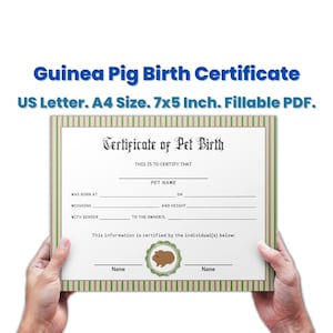 Gepersonaliseerde huisdier cavia geboorteakte sjabloon bewerkbaar, nieuw huisdier cadeau, huisdier records, huisdier aandenken, cavia papa cadeau