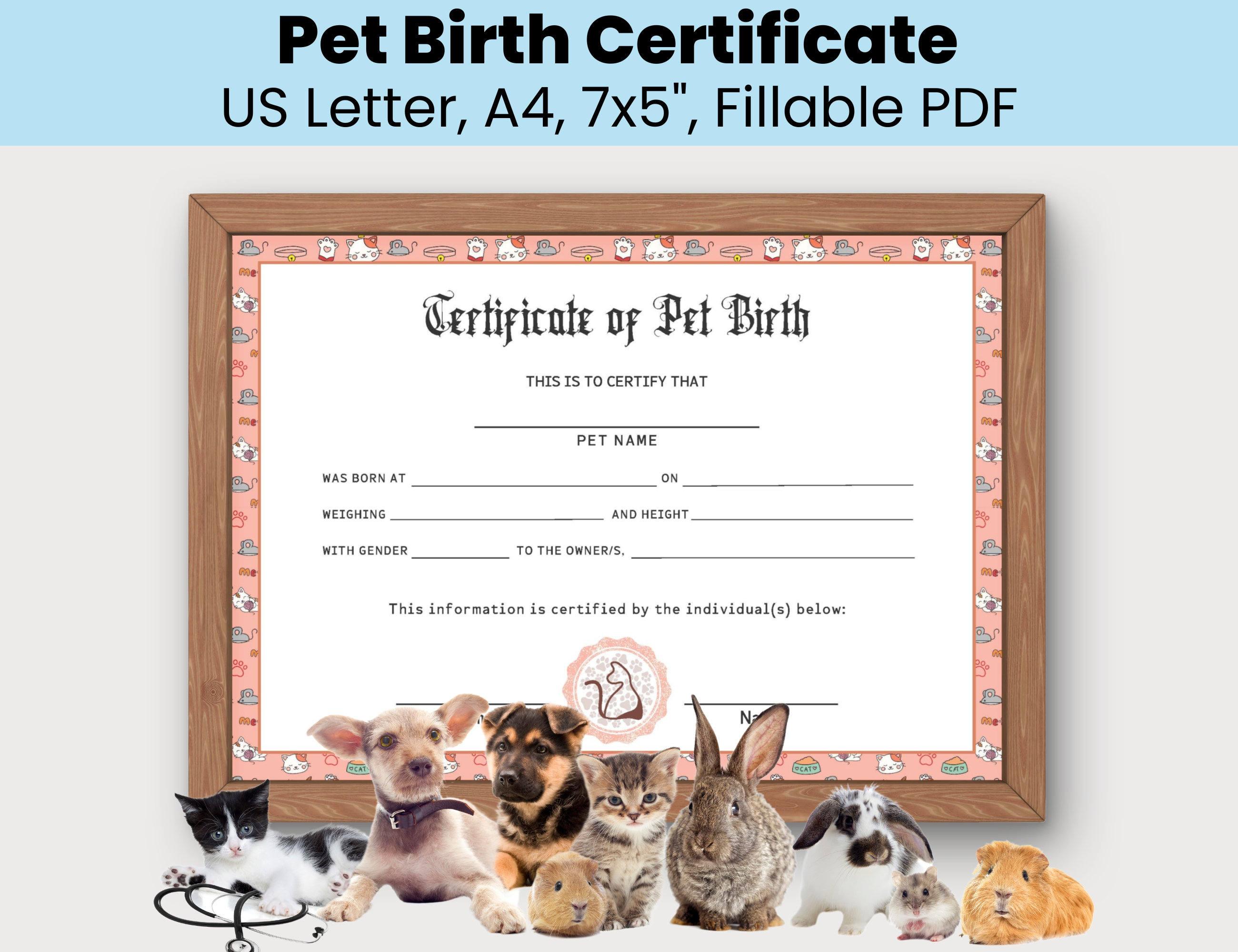 Personalized Pet Cat Birth Certificate Template Editable, New Kitten ...