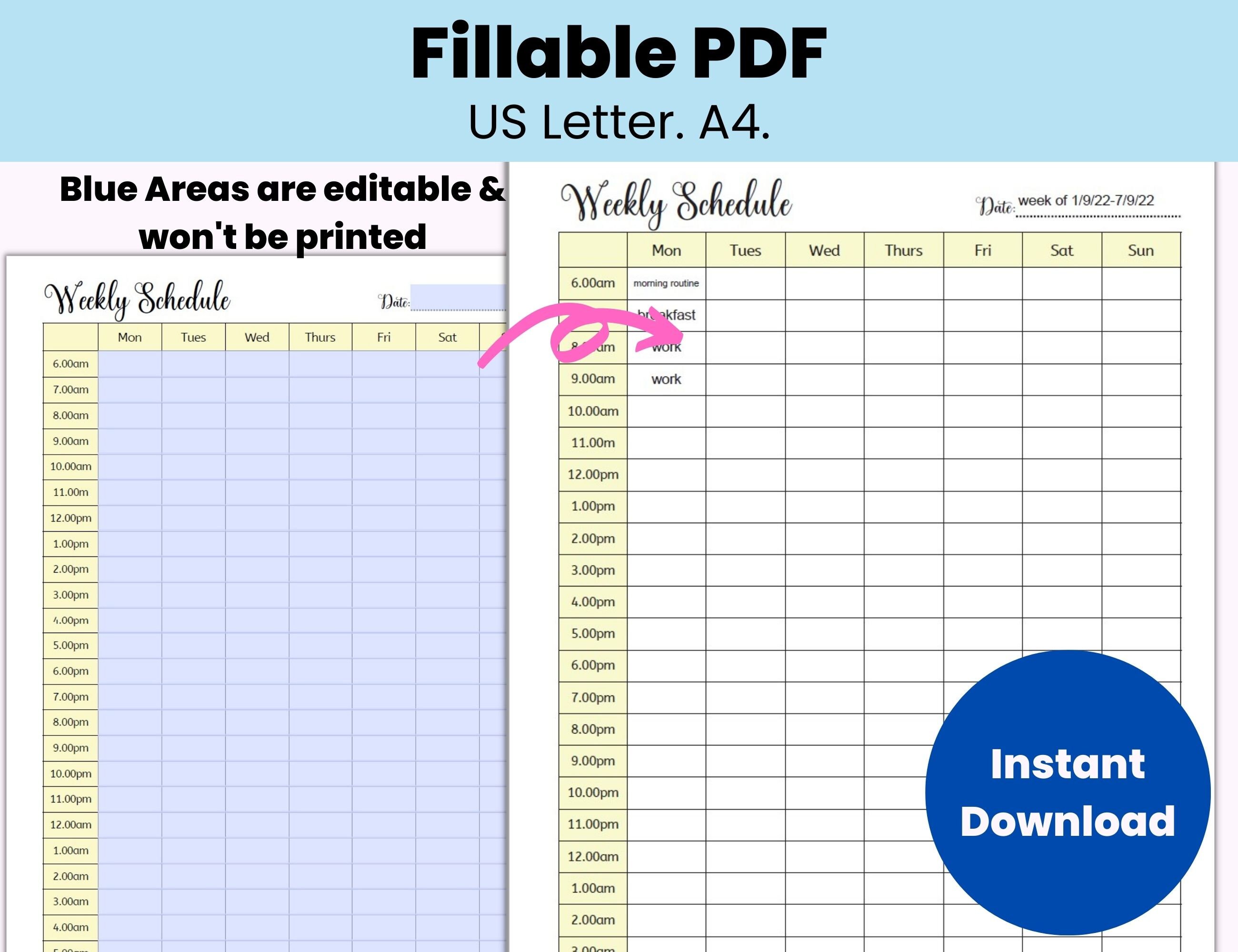 Hourly Weekly Schedule Printable, Editable Weekly Checklist, Weekly ...