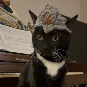 May include: A black cat with white markings and a grey crocheted hat with a brown accent sits on a wooden surface. The cat is in front of a piano with sheet music. The cat has white paws and a white patch on its chest.