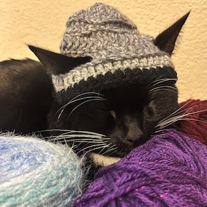 May include: A black and white cat wearing a gray and black crocheted hat is sleeping on a pile of colorful yarn.