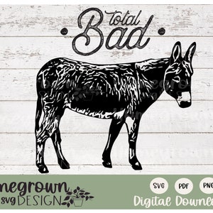 Targa In Latta Umoristica Per Pollaio 20x30 Cm – Scritta 'Cluck Around And Find Out' – Decorazione Retrò Da Interno/Esterno
